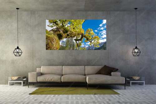 Kleiner Ahornboden mit Lalidererwänden im Karwendelgebirge - Wuchtig - Größe ca. 200x100cm, Seitenverhältnis 2:1 - Ahornbau im Karwendel - weitere Infos unter https://www.kriner-weiermann.de