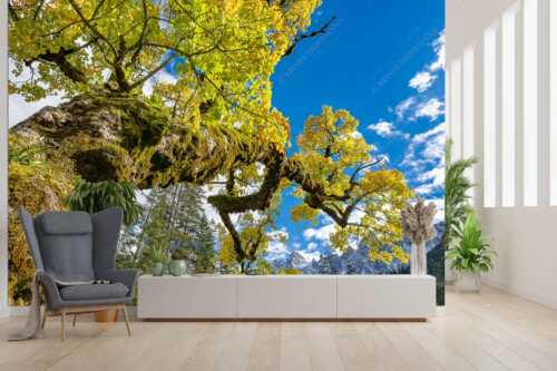 Kleiner Ahornboden mit Lalidererwänden im Karwendelgebirge - Wuchtig - Größe ca. 300x200cm, Seitenverhältnis 3:2 - Ahornbau im Karwendel - weitere Infos unter https://www.kriner-weiermann.de