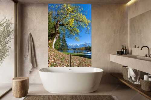 Alter Ahornbaum bei den Liegewiesen vom Barmsee, den Karwendel im Blick - Zeitzeuge - Größe ca. 160x240cm, Seitenverhältnis 2:3 - Ahorn am Barmsee - weitere Infos unter https://www.kriner-weiermann.de