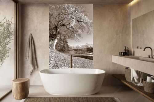 Alter Ahornbaum bei den Liegewiesen vom Barmsee, den Karwendel im Blick - Zeitzeuge - Größe ca. 160x240cm, Seitenverhältnis 2:3 - Ahorn am Barmsee - weitere Infos unter https://www.kriner-weiermann.de