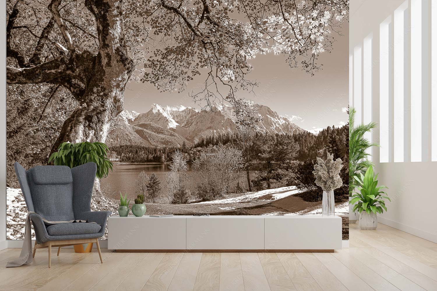 Zeitzeuge – Größe ca. 300x200cm, Seitenverhältnis 3:2 — Ahorn am Barmsee Alter Ahornbaum bei den Liegewiesen vom Barmsee, den Karwendel im Blick - Zeitzeuge - Größe ca. 300x200cm, Seitenverhältnis 3:2 - Ahorn am Barmsee - weitere Infos unter https://www.kriner-weiermann.de