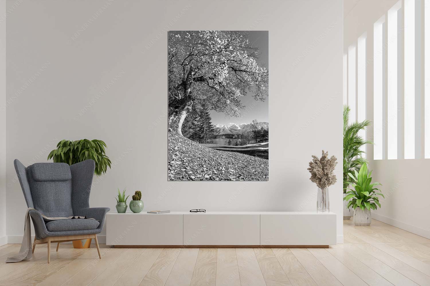 Zeitzeuge – Größe ca. 120x180cm, Seitenverhältnis 2:3 — Ahorn am Barmsee Alter Ahornbaum bei den Liegewiesen vom Barmsee, den Karwendel im Blick - Zeitzeuge - Größe ca. 120x180cm, Seitenverhältnis 2:3 - Ahorn am Barmsee - weitere Infos unter https://www.kriner-weiermann.de