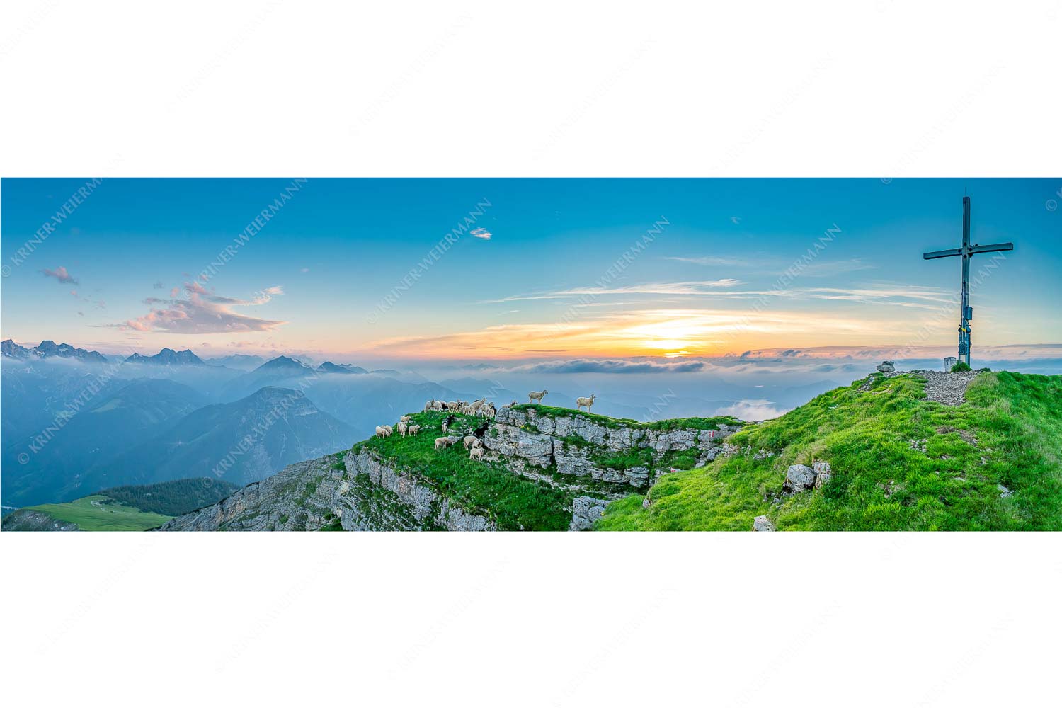 Alle Schäfchen beisammen – Seitenverhältnis 3:1 — Schafe am Schafreiter im Karwendel Bergschafe am Gipfel des Schafreiter im Karwendelgebirge bei Sonnenuntergang
