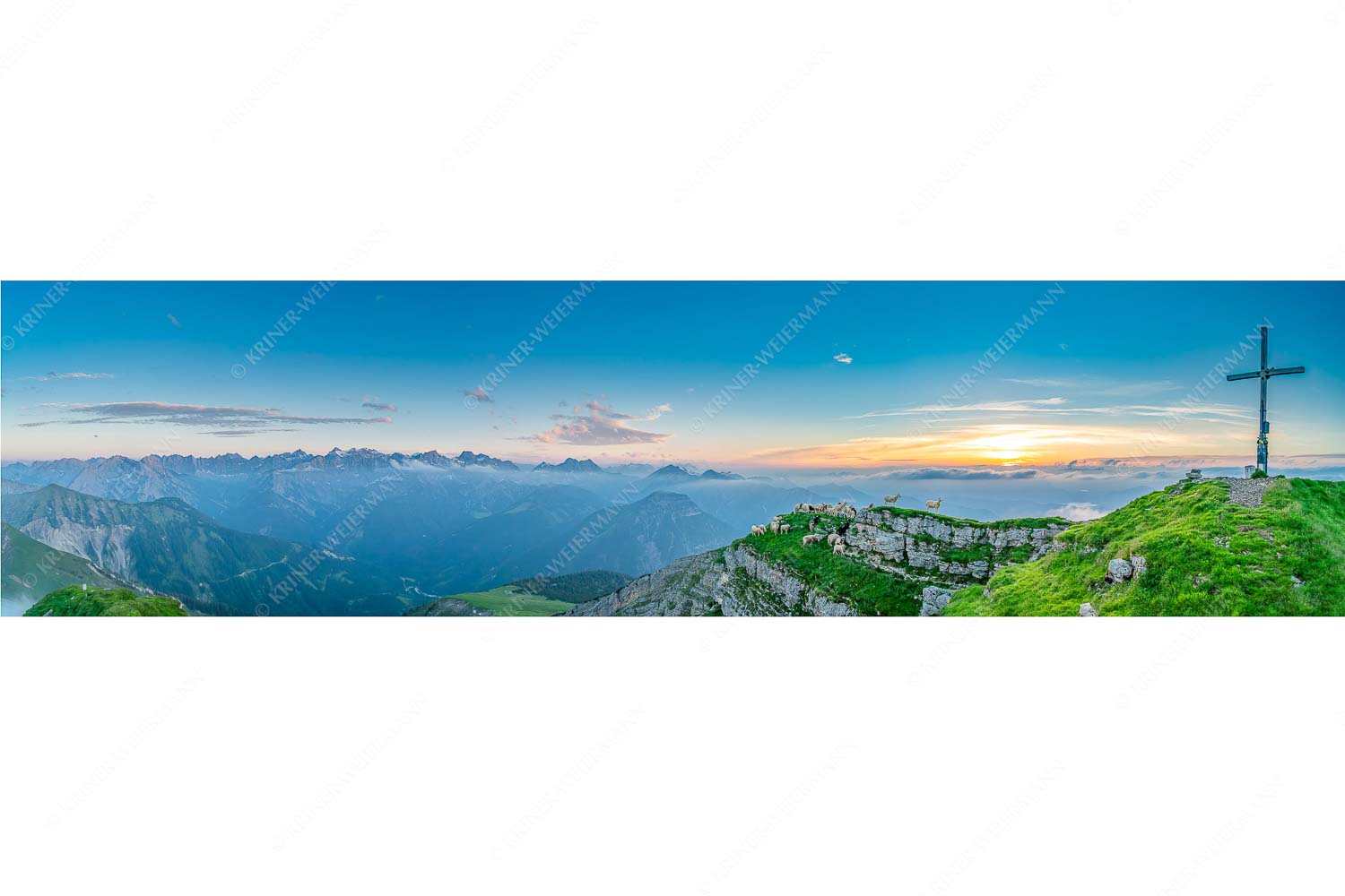 Alle Schäfchen beisammen – Seitenverhältnis 4:1 — Schafe am Schafreiter im Karwendel Bergschafe am Gipfel des Schafreiter im Karwendelgebirge bei Sonnenuntergang