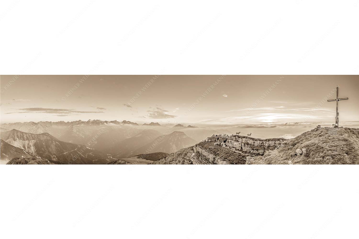 Alle Schäfchen beisammen – Seitenverhältnis 4:1 — Schafe am Schafreiter im Karwendel Bergschafe am Gipfel des Schafreiter im Karwendelgebirge bei Sonnenuntergang