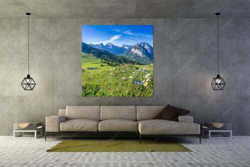 Frühlingsblumen am Almboden im Karwendelgebirge - Almbleamalan - Größe ca. 160x160cm, Seitenverhältnis 1:1 - Schusternagel Silberwurz im Karwendel - weitere Infos unter https://www.kriner-weiermann.de