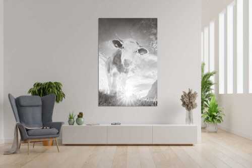 Jungvieh auf der Alm im Wettersteingebirge - Almsommermorgen III - Wandbild - Größe ca. 120x180cm, Seitenverhältnis 2:3 - Kuh im Wetterstein - weitere Infos unter https://www.kriner-weiermann.de
