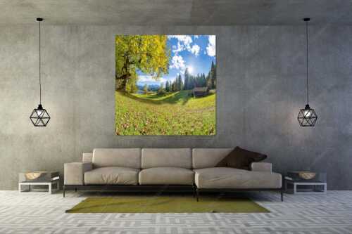 Ahorn am Barmsee mit Blick zum Karwendel - Alter Ahorn - Wandbild - Größe ca. 160x160cm, Seitenverhältnis 1:1 - Stadel am Barmsee mit Karwendel - weitere Infos unter https://www.kriner-weiermann.de