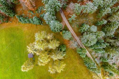 Leicht angeschneite Lärchen im Leutaschtal - Angestaubt - Seitenverhältnis 3:2 - Wald Draufsicht - weitere Infos unter https://www.kriner-weiermann.de