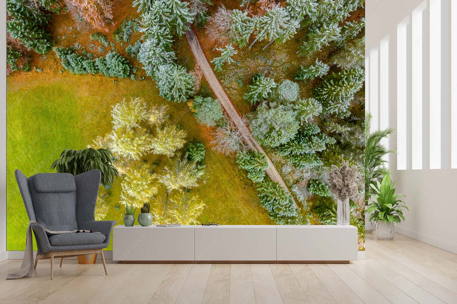 Angestaubt – Größe ca. 300x200cm, Seitenverhältnis 3:2 — Wald Draufsicht Leicht angeschneite Lärchen im Leutaschtal - Angestaubt - Größe ca. 300x200cm, Seitenverhältnis 3:2 - Wald Draufsicht - weitere Infos unter https://www.kriner-weiermann.de