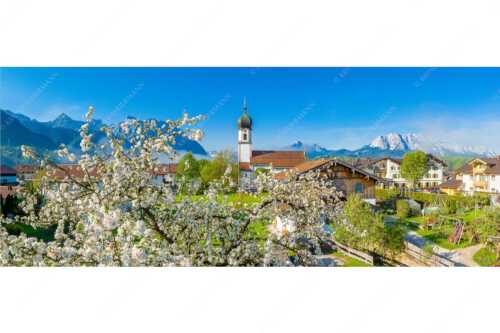 Kirche St. Sebastian in Krün mit Wetterstein- und Karwendelgebirge - Apfelblüte in Krün - Seitenverhältnis 2,5:1 - Kirche in Krün Karwendel und Wetterstein - weitere Infos unter https://www.kriner-weiermann.de