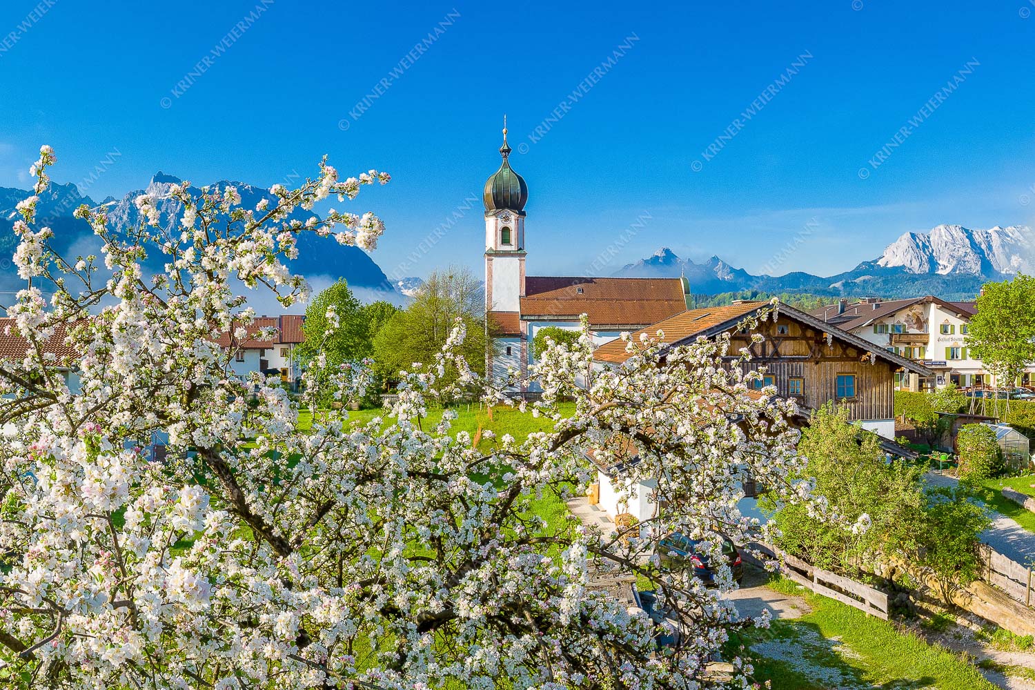 Apfelblüte in Krün – Seitenverhältnis 3:2 — Kirche in Krün Karwendel und Wetterstein Kirche St. Sebastian in Krün mit Wetterstein- und Karwendelgebirge