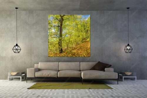 Ahorn und Buchen am Wanderweg zur Witter bei Wallgau - Auf dem Goldenen Weg - Größe ca. 160x160cm, Seitenverhältnis 1:1 - Herbstfärbung Buchen und Ahorn - weitere Infos unter https://www.kriner-weiermann.de