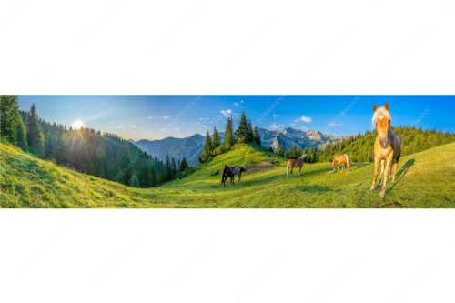 Haflinger Pferde mit Soiernspitze im Soierngebirge - Aufgeweckt - Seitenverhältnis 4:1 - Pferde im Soierngebirge - weitere Infos unter https://www.kriner-weiermann.de
