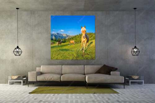 Haflinger Pferde mit Soiernspitze im Soierngebirge - Aufgeweckt - Größe ca. 160x160cm, Seitenverhältnis 1:1 - Pferde im Soierngebirge - weitere Infos unter https://www.kriner-weiermann.de