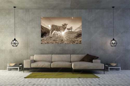 Junge Hochlandrinder am Halleranger im Karwendelgebirge - Babys - Größe ca. 180x120cm, Seitenverhältnis 3:2 - Schottische Hochland Rinder Kälber - weitere Infos unter https://www.kriner-weiermann.de
