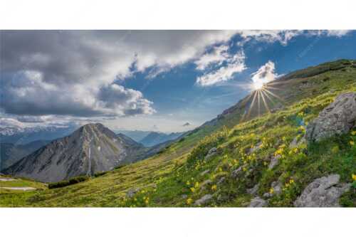 Im Frühling sind die Hänge im Estergebirge übersät mit den duftenden Blüten der Aurikel - Bergfrühling - Seitenverhältnis 2:1 - Frühling im Werdenfelser Land - weitere Infos unter https://www.kriner-weiermann.de