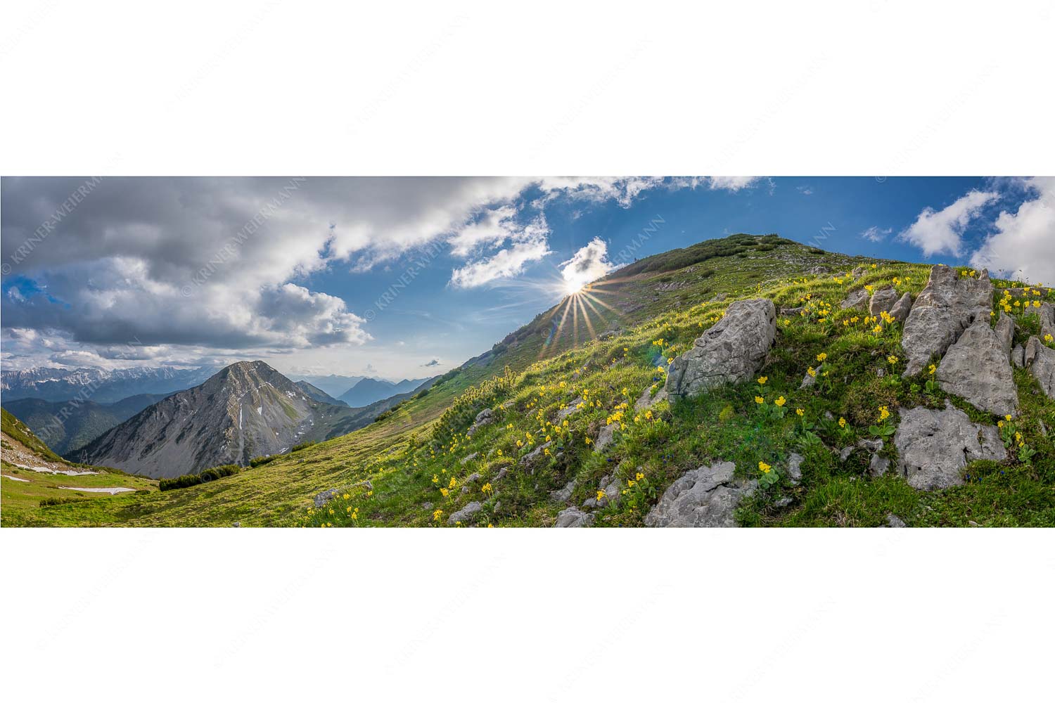 Bergfrühling – Seitenverhältnis 3:1 — Frühling im Werdenfelser Land Im Frühling sind die Hänge im Estergebirge übersät mit den duftenden Blüten der Aurikel