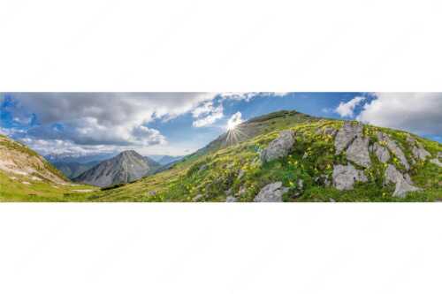 Im Frühling sind die Hänge im Estergebirge übersät mit den duftenden Blüten der Aurikel - Bergfrühling - Seitenverhältnis 4:1 - Frühling im Werdenfelser Land - weitere Infos unter https://www.kriner-weiermann.de