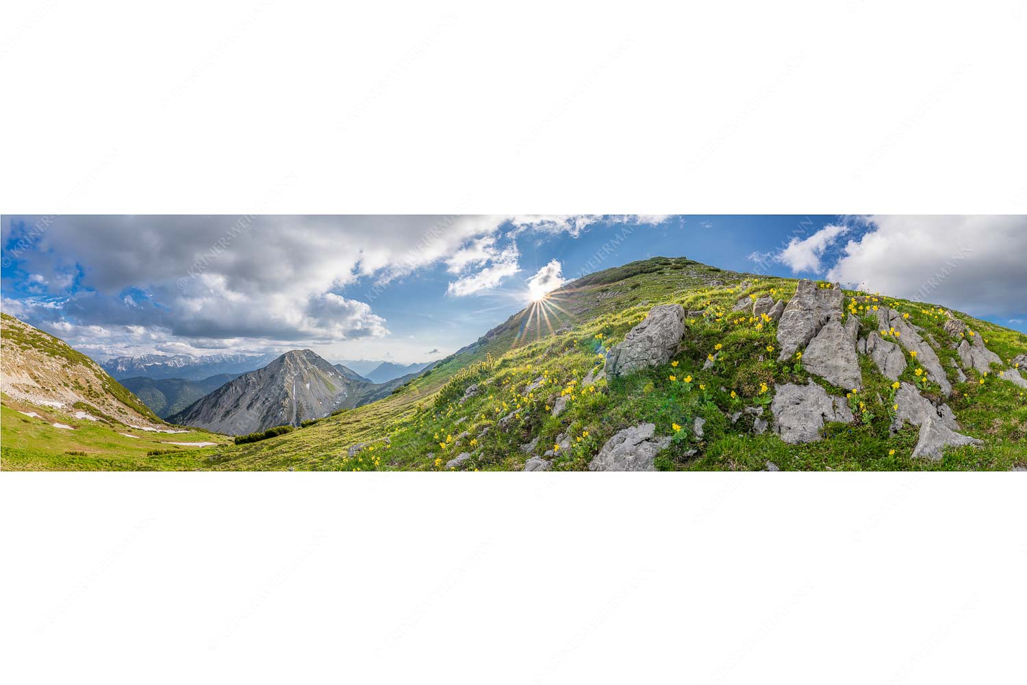 Bergfrühling – Seitenverhältnis 4:1 — Frühling im Werdenfelser Land Im Frühling sind die Hänge im Estergebirge übersät mit den duftenden Blüten der Aurikel