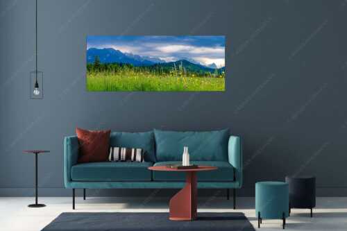 Blick über Blumenwiese bei Krün mit Blick zum Wettersteingebirge - Blumen und Gräser - Größe ca. 175x70cm, Seitenverhältnis 2,5 - Blumenwiese am Barmsee - weitere Infos unter https://www.kriner-weiermann.de