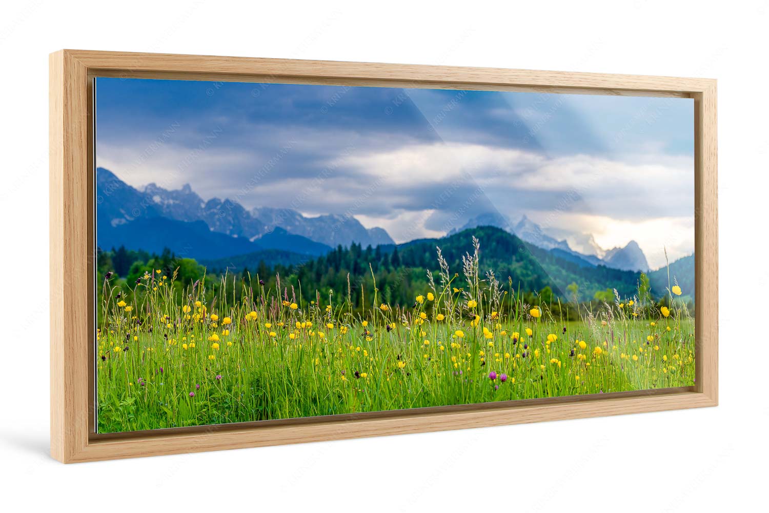 Blumen und Gräser – Foto im Schattenfugen-Rahmen — Blumenwiese am Barmsee Blick über Blumenwiese bei Krün mit Blick zum Wettersteingebirge - Blumen und Gräser - Foto im Schattenfugen-Rahmen - Blumenwiese am Barmsee - weitere Infos unter https://www.kriner-weiermann.de