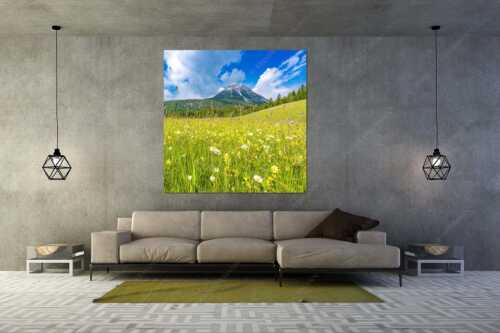 Satte Blumenwiese in Leutasch vor Hoher Munde in den Mieminger Bergen - Blumenwiese vor Hoher Munde - Größe ca. 160x160cm, Seitenverhältnis 1:1 - Leutasch - weitere Infos unter https://www.kriner-weiermann.de