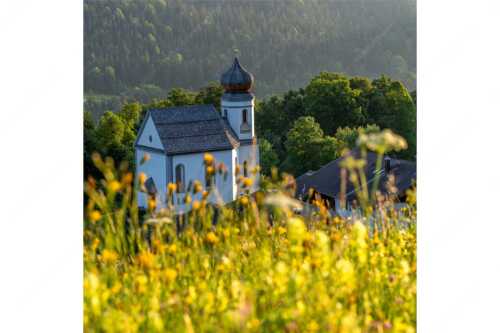 Blumenwiese mit Kirche St. Anna in Wamberg - Blumenwiese Wamberg - Seitenverhältnis 1:1 - Kirche und Blumen - weitere Infos unter https://www.kriner-weiermann.de
