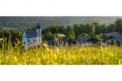 Blumenwiese mit Kirche St. Anna in Wamberg - Blumenwiese Wamberg - Seitenverhältnis 2,5:1 - Kirche und Blumen - weitere Infos unter https://www.kriner-weiermann.de