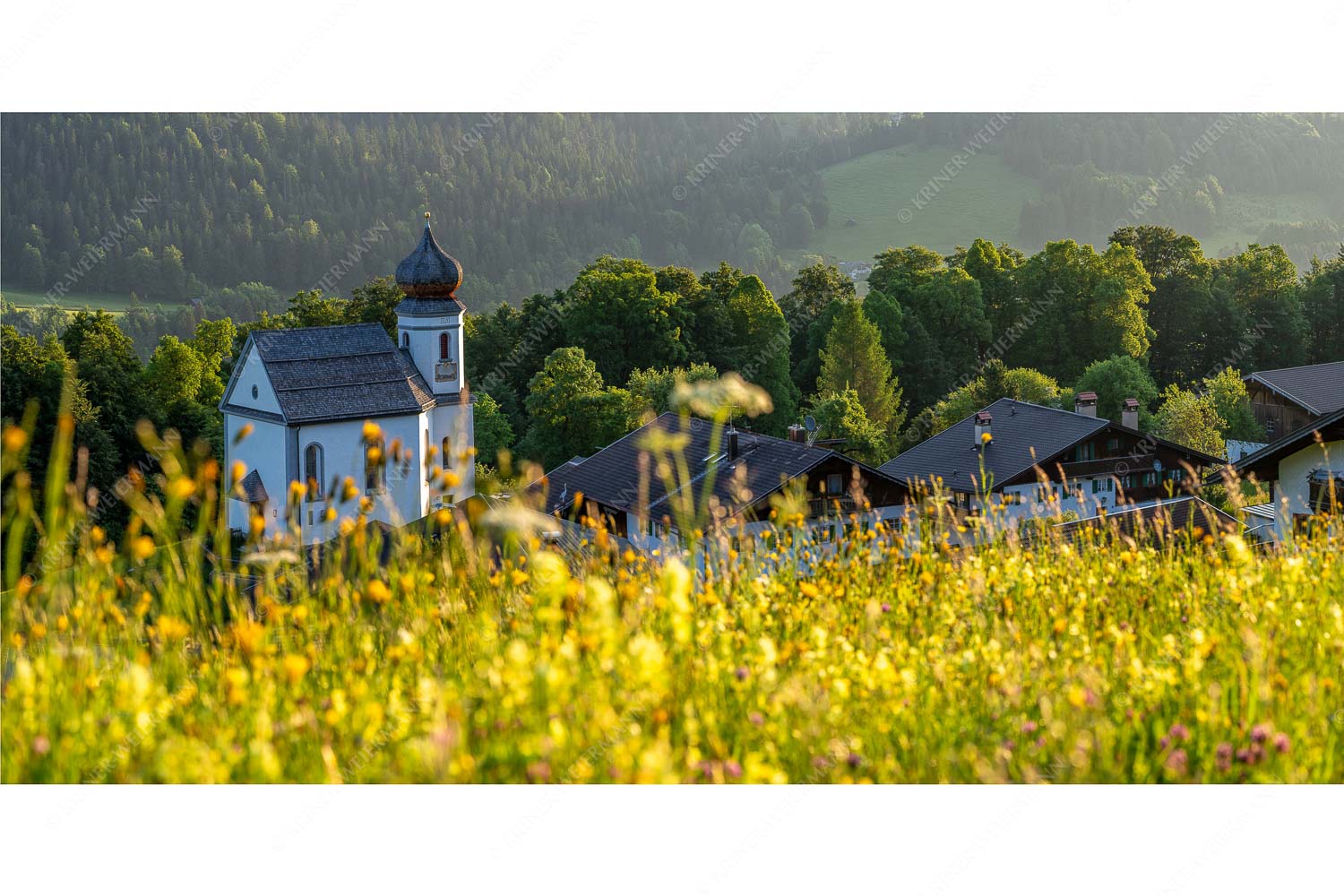 Blumenwiese mit Kirche St. Anna in Wamberg