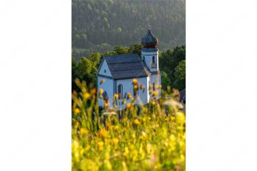 Blumenwiese mit Kirche St. Anna in Wamberg - Blumenwiese Wamberg - Seitenverhältnis 2:3 - Kirche und Blumen - weitere Infos unter https://www.kriner-weiermann.de
