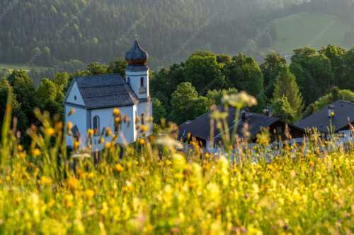 Blumenwiese mit Kirche St. Anna in Wamberg - Blumenwiese Wamberg - Seitenverhältnis 3:2 - Kirche und Blumen - weitere Infos unter https://www.kriner-weiermann.de