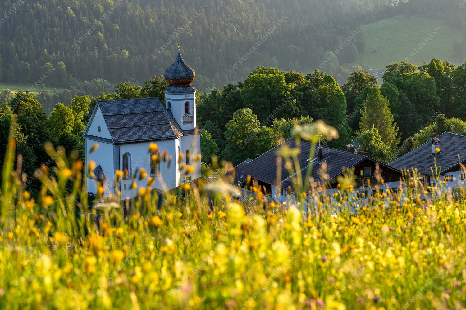 Blumenwiese Wamberg – Seitenverhältnis 3:2 — Kirche und Blumen Blumenwiese mit Kirche St. Anna in Wamberg