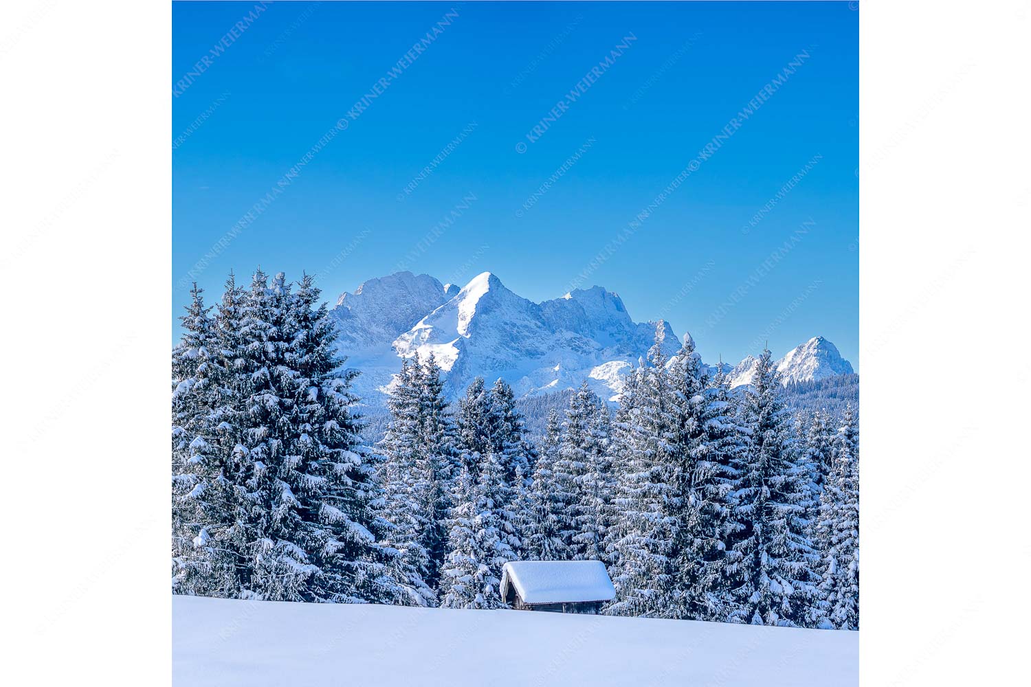 Der Wetterstein – Seitenverhältnis 1:1 — Winter Wald und Heustadel Blick zum Wettersteingebirge mit Zugspitzmassiv