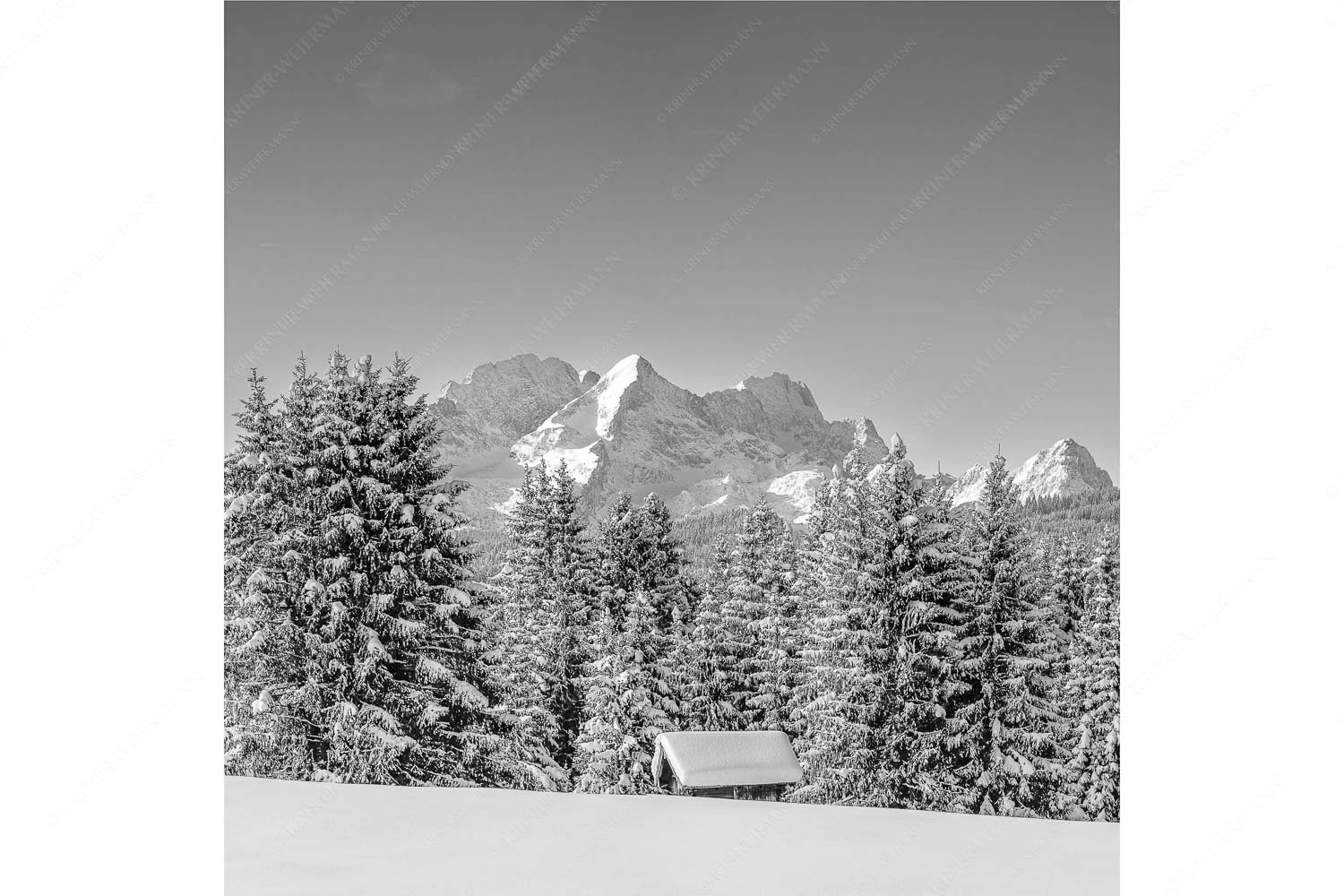 Der Wetterstein – Seitenverhältnis 1:1 — Winter Wald und Heustadel Blick zum Wettersteingebirge mit Zugspitzmassiv