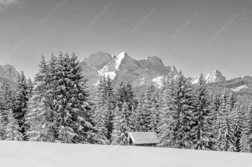 Blick zum Wettersteingebirge mit Zugspitzmassiv - Der Wetterstein - Seitenverhältnis 3:2 - Winter Wald und Heustadel - weitere Infos unter https://www.kriner-weiermann.de