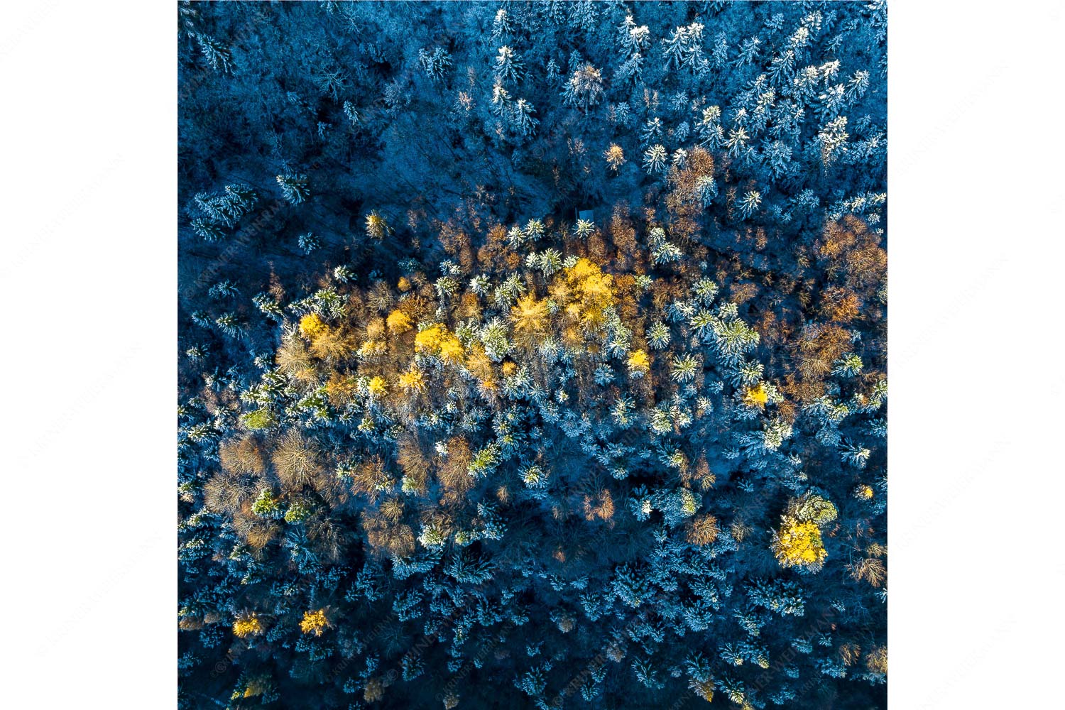 Die letzten Farbtupfer – Seitenverhältnis 1:1 — Herbstwald von Oben Ein farbenfroher Abschied vom Herbst im Wettersteingebirge