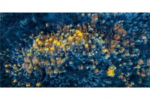 Ein farbenfroher Abschied vom Herbst im Wettersteingebirge - Die letzten Farbtupfer - Seitenverhältnis 2:1 - Herbstwald von Oben - weitere Infos unter https://www.kriner-weiermann.de