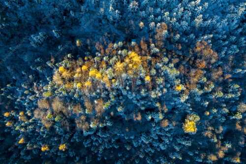 Ein farbenfroher Abschied vom Herbst im Wettersteingebirge - Die letzten Farbtupfer - Seitenverhältnis 3:2 - Herbstwald von Oben - weitere Infos unter https://www.kriner-weiermann.de