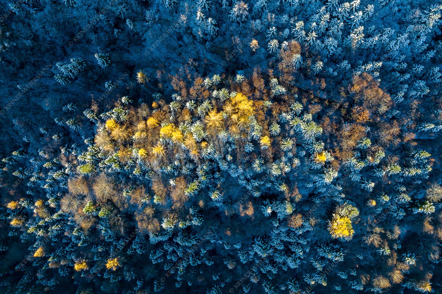 Die letzten Farbtupfer – Seitenverhältnis 3:2 — Herbstwald von Oben Ein farbenfroher Abschied vom Herbst im Wettersteingebirge