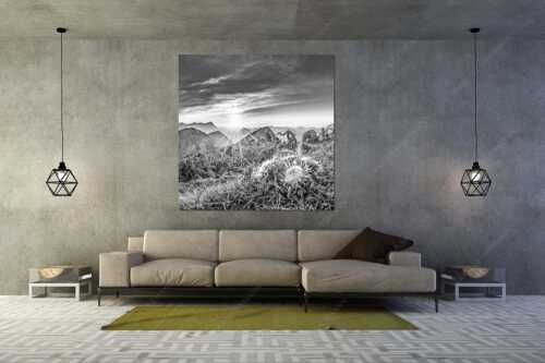 Blick vom Risskopf zum Sonnenuntergang an der Zugspitze - Distelquartett - Größe ca. 160x160cm, Seitenverhältnis 1:1 - Silberdistel im Estergebige - weitere Infos unter https://www.kriner-weiermann.de