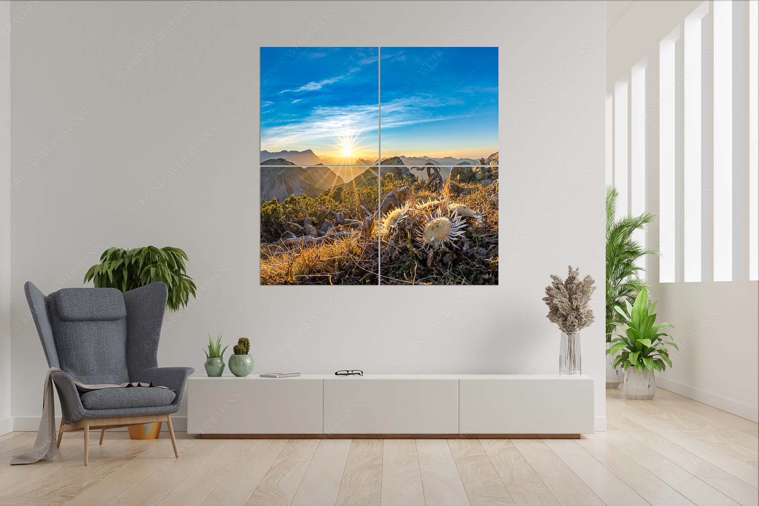 Distelquartett – 4er Split, Größe ca. 180x180cm, Seitenverhältnis 1:1 — Silberdistel im Estergebige Blick vom Risskopf zum Sonnenuntergang an der Zugspitze - Distelquartett - 4er Split, Größe ca. 180x180cm, Seitenverhältnis 1:1 - Silberdistel im Estergebige - weitere Infos unter https://www.kriner-weiermann.de