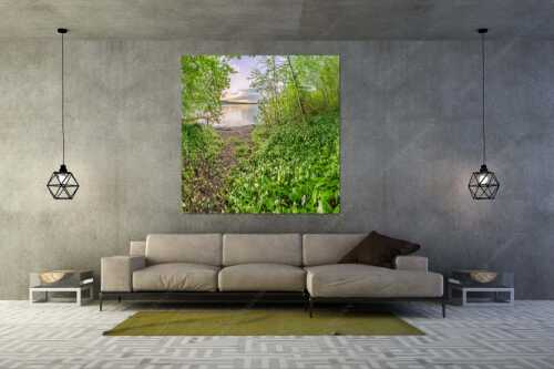 Dicht gedrängt stehen die Blüten des Bärlauchs am Kochelsee bei Sonnenuntergang - Duftteppich - Größe ca. 160x160cm, Seitenverhältnis 1:1 - Bärlauch am Kochelsee - weitere Infos unter https://www.kriner-weiermann.de