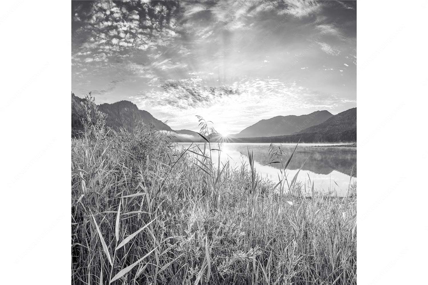 Einsamer Sommermorgen – Seitenverhältnis 1:1 — Silvensteinsee Blick über den Silvensteinsee zum Sonnenaufgang