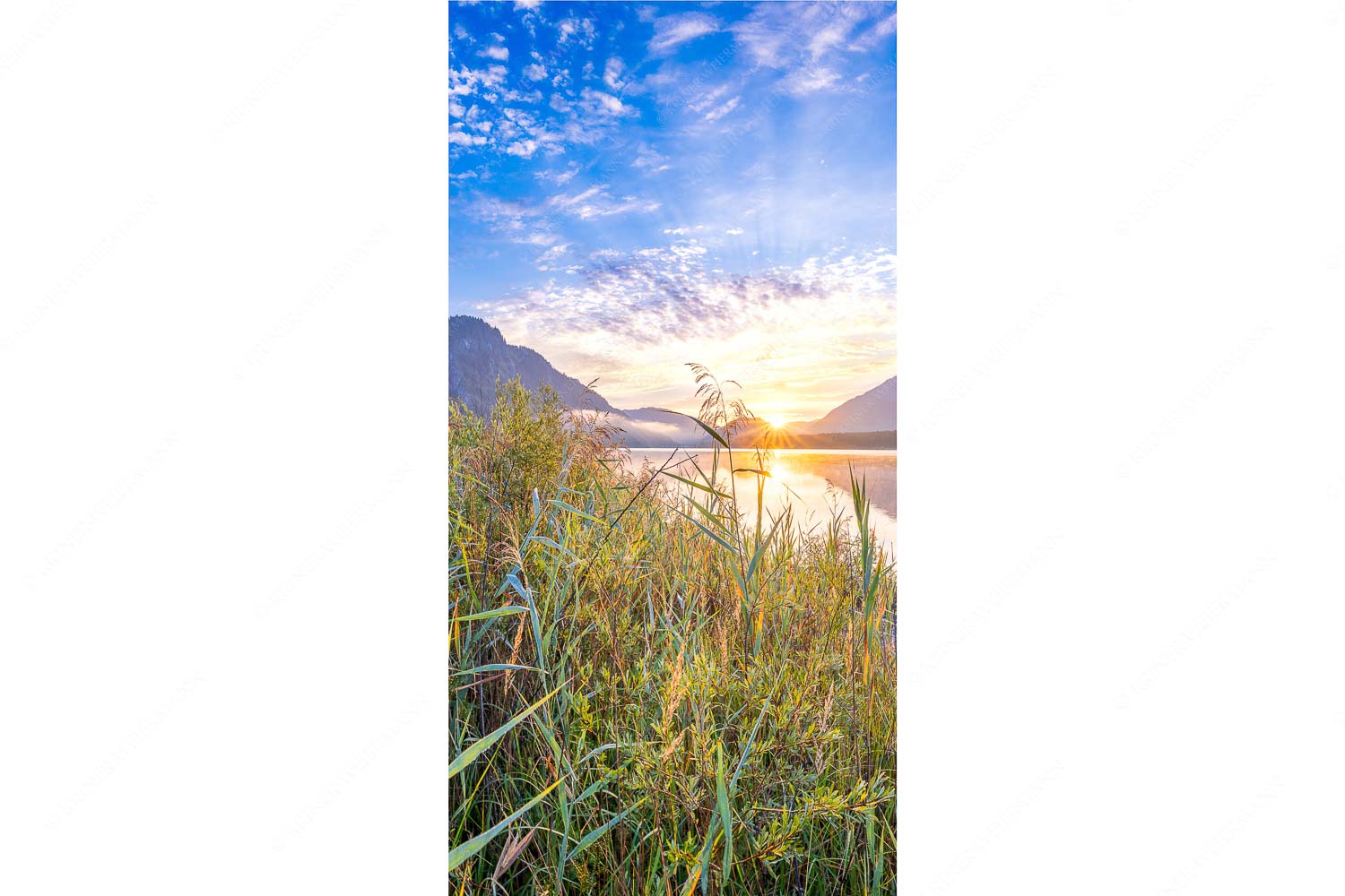 Einsamer Sommermorgen – Seitenverhältnis 1:2 — Silvensteinsee Blick über den Silvensteinsee zum Sonnenaufgang