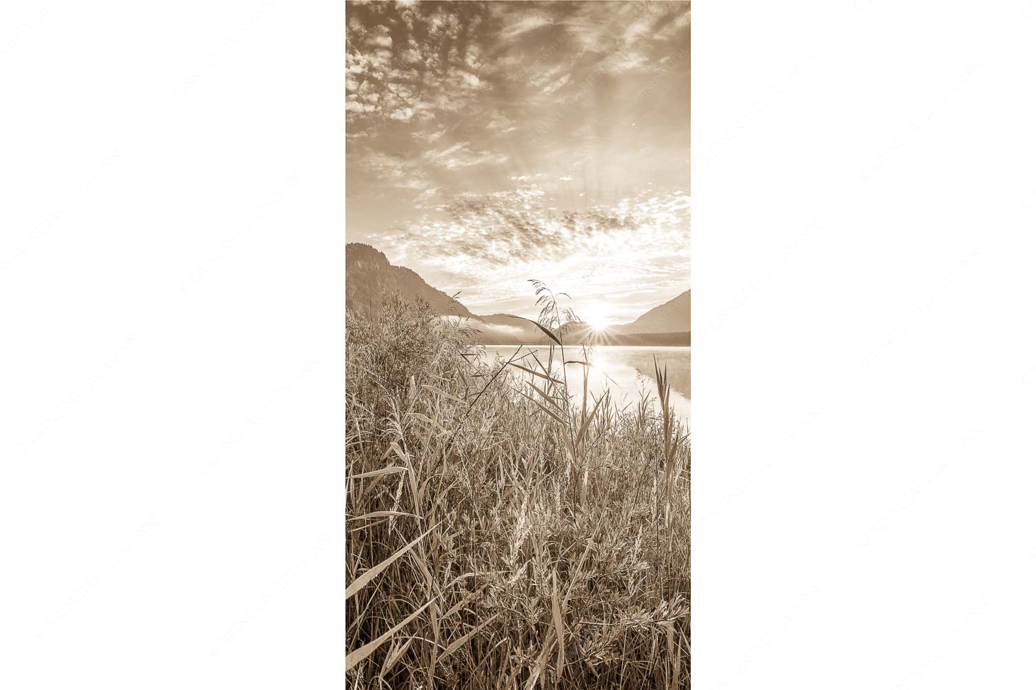 Einsamer Sommermorgen – Seitenverhältnis 1:2 — Silvensteinsee Blick über den Silvensteinsee zum Sonnenaufgang