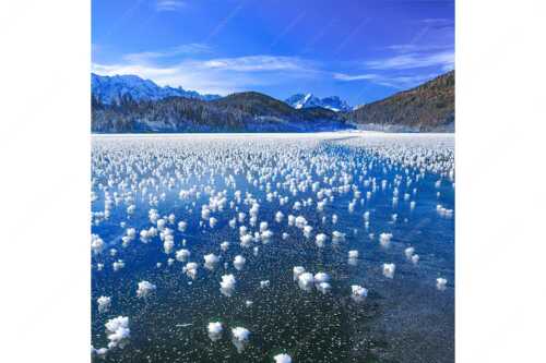 Eisblumen am Barmsee mit Blick zum Wettersteingebirge mit Zugspitzmassiv - Eisrosen - Seitenverhältnis 1:1 - Eiskristalle auf Barmsee - weitere Infos unter https://www.kriner-weiermann.de