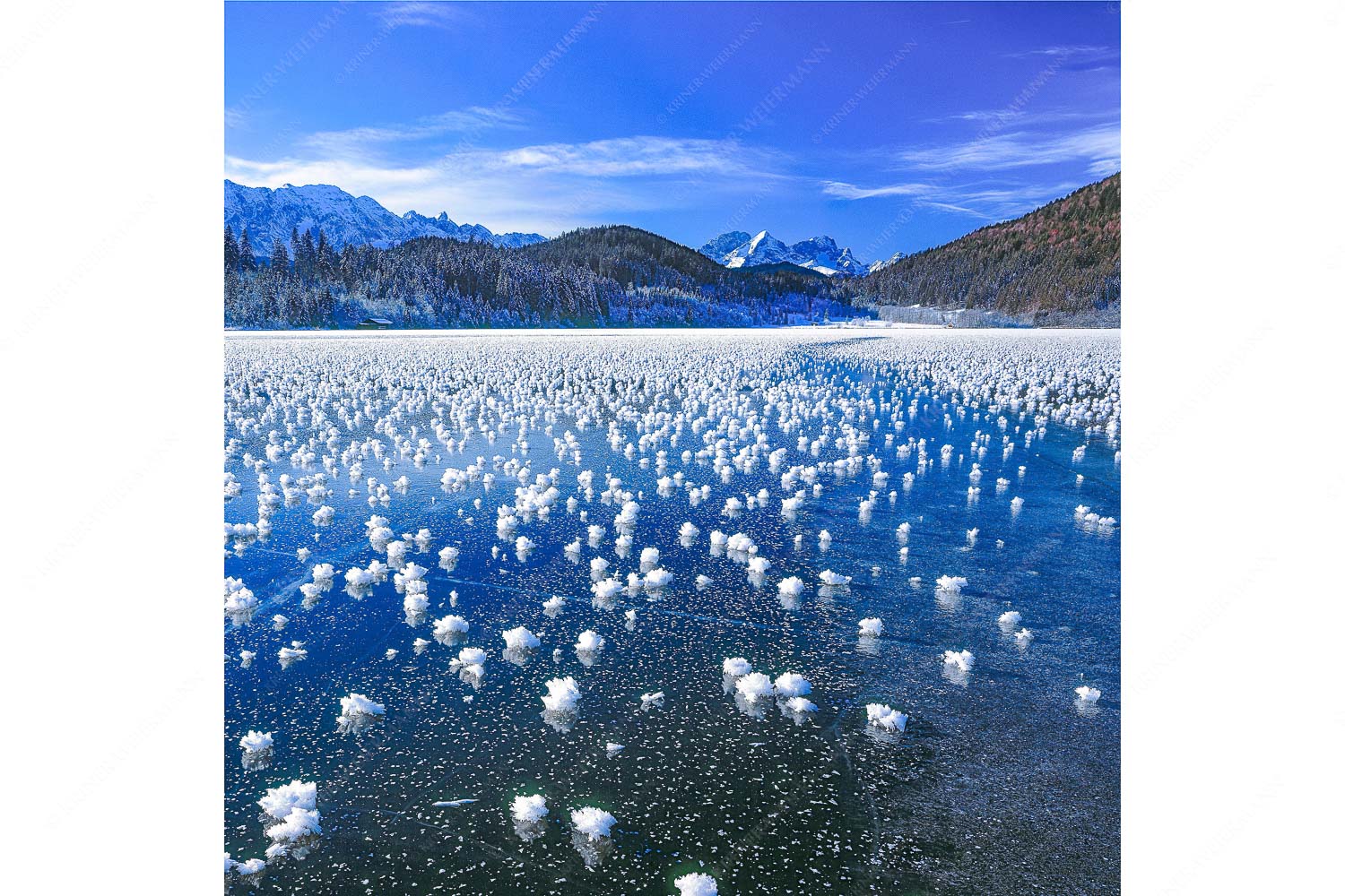 Eisrosen – Seitenverhältnis 1:1 — Eiskristalle auf Barmsee Eisblumen am Barmsee mit Blick zum Wettersteingebirge mit Zugspitzmassiv