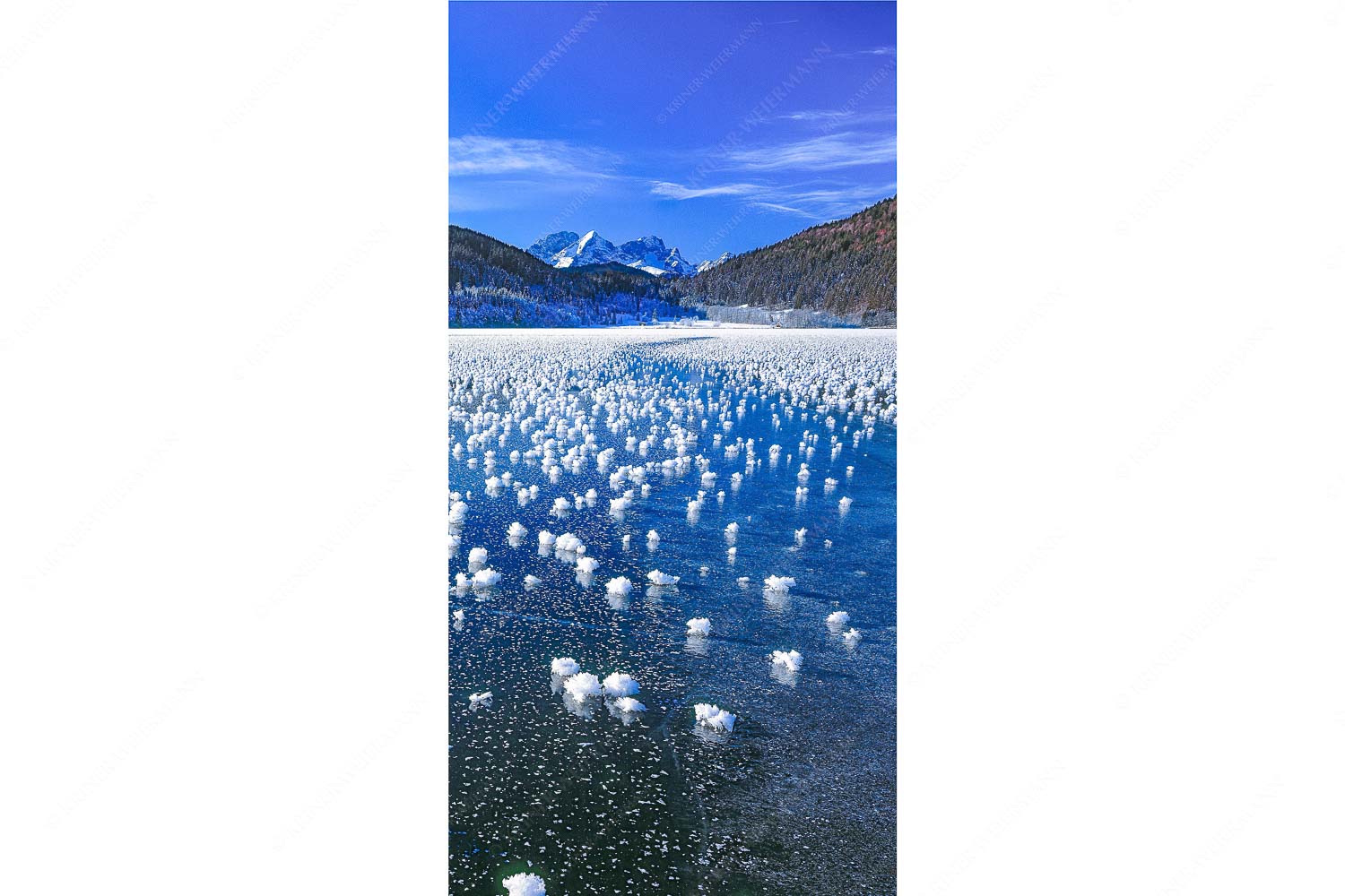 Eisrosen – Seitenverhältnis 1:2 — Eiskristalle auf Barmsee Eisblumen am Barmsee mit Blick zum Wettersteingebirge mit Zugspitzmassiv