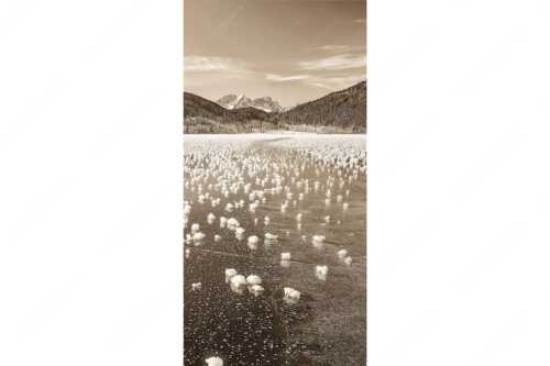 Eisblumen am Barmsee mit Blick zum Wettersteingebirge mit Zugspitzmassiv - Eisrosen - Seitenverhältnis 1:2 - Eiskristalle auf Barmsee - weitere Infos unter https://www.kriner-weiermann.de